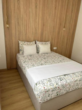 Apartmani Art